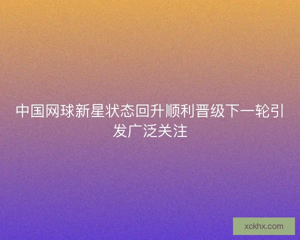 中国网球新星状态回升顺利晋级下一轮引发广泛关注